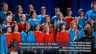 preview picture of video 'Mladinski pevski zbor 1. OŠ Žalec'
