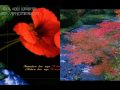 Old Indian Songs Flv