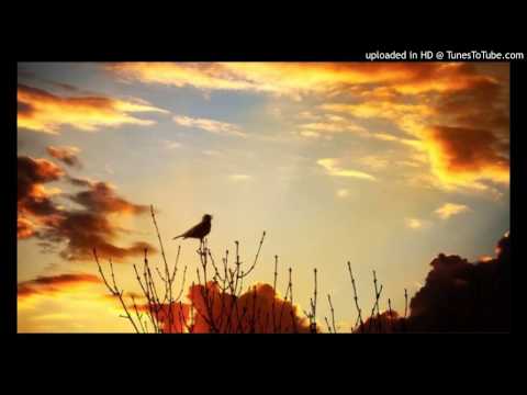 Today's Tango Is... El Amanecer - Ricardo Pedevilla 28-11-1950