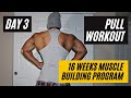 Muscle Building Workout DAY 3 | Back & Biceps | Pull Workout | Aesthetic Karthik