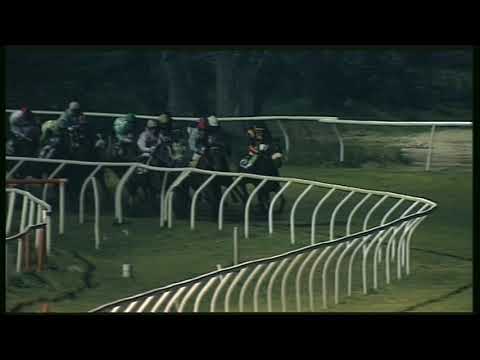 Galoppo 25/01/2020 - 6ª corsa - TRIS