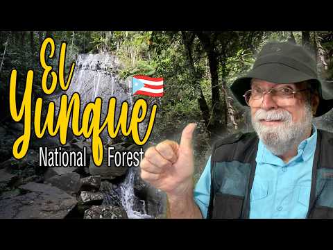 El Yunque Forest (Home Of The Taíno Gods)