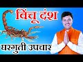 विंचू चावल्यावर घरगुती उपाय विंचू दं�