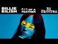 Eyes Of A Feather Billie Eilish Ed Sheeran Birds Of A Feather Eyes Closed Rubbeats MASHUP