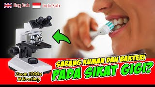 Download lagu ZOOM 1000X : KEHIDUPAN DALAM SIKAT GIGI BEKAS BAKTERI DAN KUMAN DENGAN MIKROSKOP mp3 Download lagu ZOOM 1000X : KEHIDUPAN DALAM SIKAT GIGI BEKAS BAKTERI DAN KUMAN DENGAN MIKROSKOP mp3