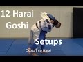 12 must know Harai goshi setups by Matt DAquino
