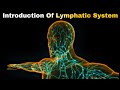 Introduction Of Lymphatic System In Hindi