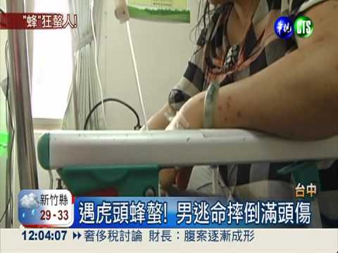登山遇虎頭蜂 婦人手臂被螫40針!