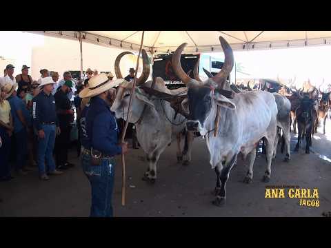 2ª Cavalgada Frigomiro Linda Vista, Cezarina-GO - Encerramento da Festa de São Sebastião no distrito