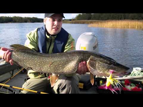 Hauenkalastusta heittoperholla - Spintube - Kalastus - Hauenkalastus - Eumerr