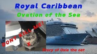 Almost killed by Australian Border Security Ovie the Cat Royal Caribbean Ovation of the Seas Quantum