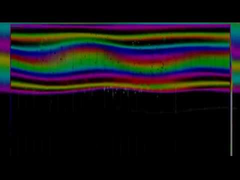 Sweet Wind - Vineyard