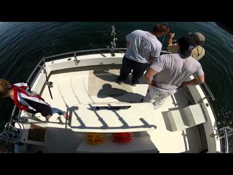 Striped Bass - MD Chesapeake Bay - Solomons Island - April 29th PM Charter A