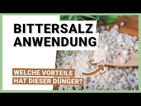 Bittersalz – Wirkung und Anwendung als Dünger und Unkrautvernichter
