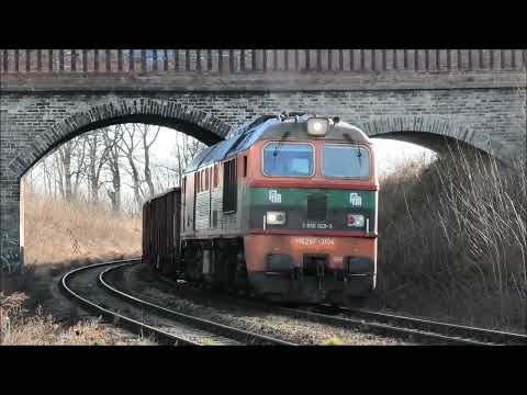 Monika Drzazga Starzyny