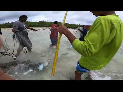 WOTJE TO ERIKUB FISHING, MARSHALL ISLANDS PART 2!