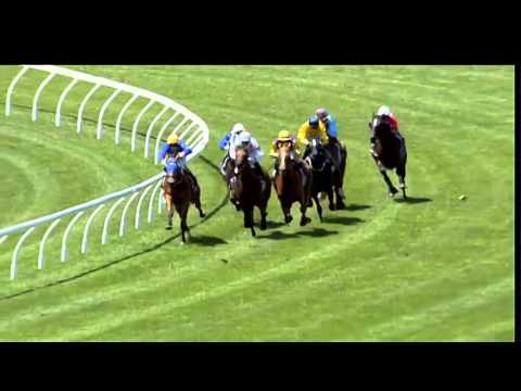 Triple Trio Preview for Diamond Day at Ellerslie this Saturday