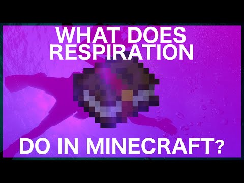 What Does Respiration Do In Minecraft?