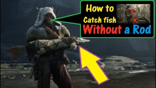 RDR2 How to catch fish without a rod