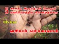 5 மணிநேரத்தில் நினைத்தவரை வசியம் செய�