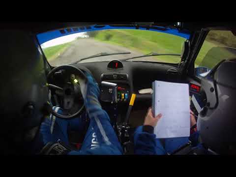 38° Rally App. Reggiano 2017 GIOVANELLI S.-VIAPPIANI E. PS2 SAN POLO 600 A0