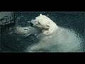 Frankie Laine - "North To Alaska"