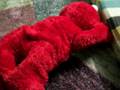 Elmo Tickles