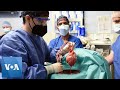 Doctors Transplant Pig Heart into Human for 1st Time