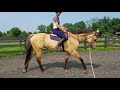 Butta Bean Intro to Rein Pressure