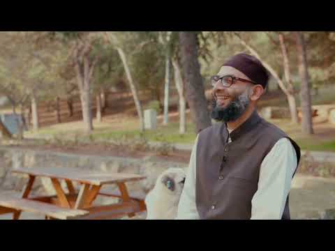 Dog shows Sheikh Hamza who's the boss.