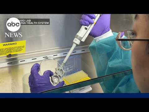 Mini organs launching to space for research