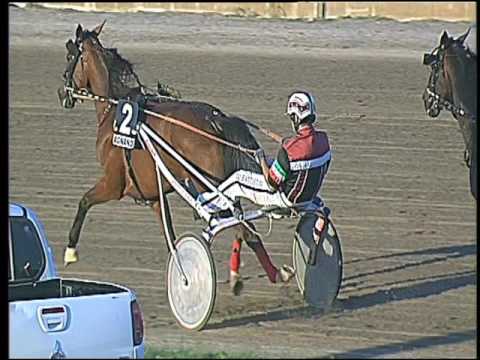 Trotto 25/09/2016 - 6ª corsa