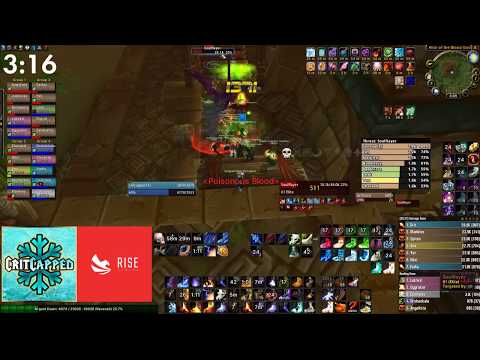Hakkar World First [RISE] Classic WoW