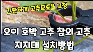 태풍에도 끄떡없는 화분을 이용한 지지대 설치방법! #지지대설치하는방법 #고추지지대만들기 #토마토지지대만들기 …