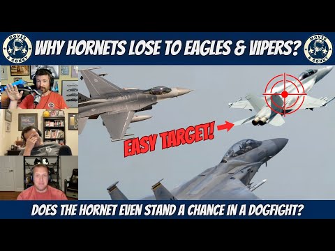Navy vs. Air Force Dogfights — Why Hornets Get Smoked - Fighter Pilots Discuss