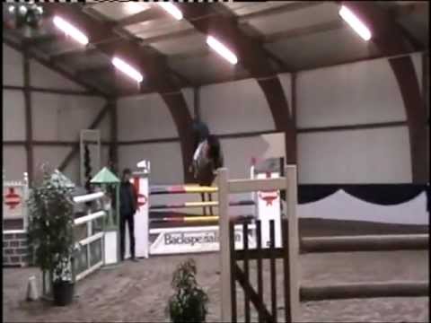 Sambucca 11 jährige Holsteiner Stute von Quantum