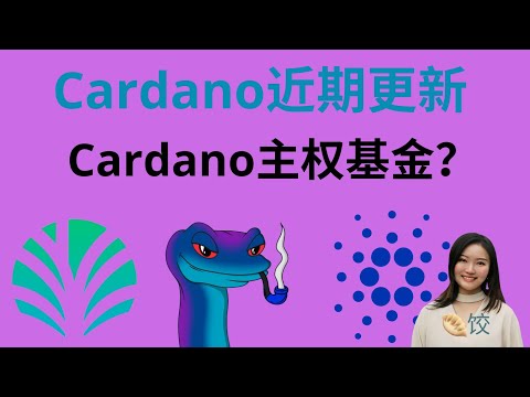 Cardano近期更新: Palmyra, 宪法委员会,SNEK等 #ada币 #质押Fika池