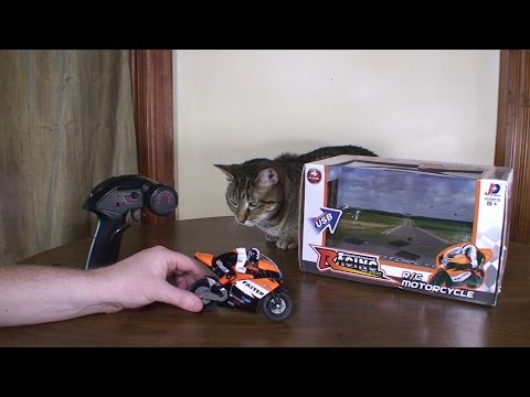 Jin Xing Da - JXD806 Mini Motorcycle - Review and Run