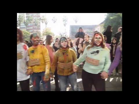 1 Trote Pedag UFRGS 2010/2