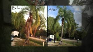 preview picture of video 'Bonita Springs Lawn Care - Bush Hog Service Florida SWFL'