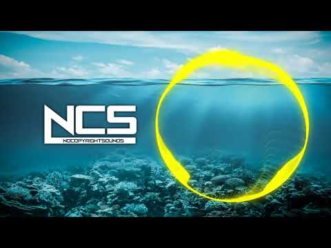 [1 HOUR VERSION] Diviners feat. Contacreast - Tropic Love [NCS Release]