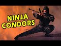 Wu Tang Collection Ninja Condors Versión En Español