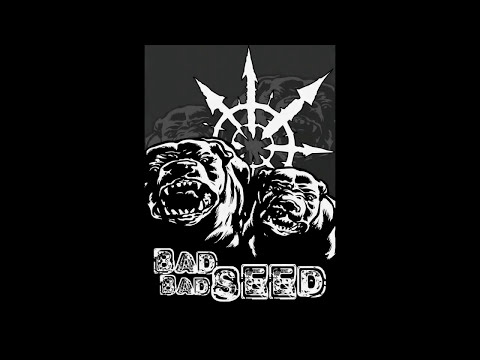 Bad Bad Seed (punk BZH Saint-Brieuc)