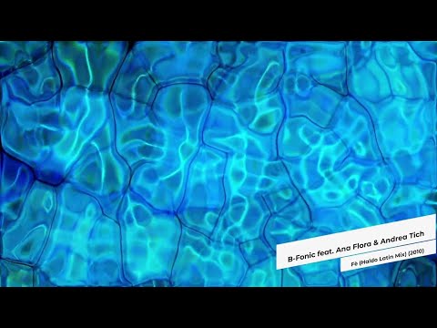 B-Fonic feat. Ana Flora & Andrea Tich - Fè (Haldo Latin Mix) (2010)