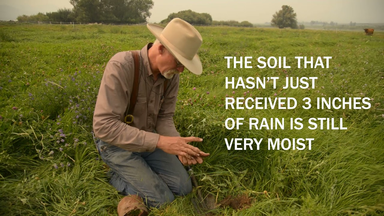 Regenerative Agriculture: How We Improved Soil Health with Rotational Grazing...and How You Can Too!