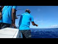 Dogtooth Tuna caught on livebait - Rodrigues Island!