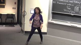 28. Visualizing Life - Fluorescent Proteins