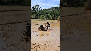 Download lagu masih perataan mp3