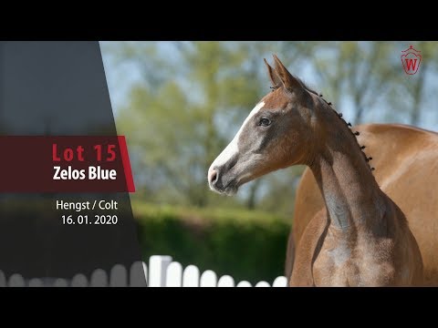 15 Zelos Blue Hengst v. Zirroco Blue -  Balou du Rouet