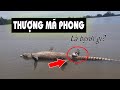 Hiểu rõ về bệnh Thượng Mã Phong cực nguy hiểm trong 5 phút